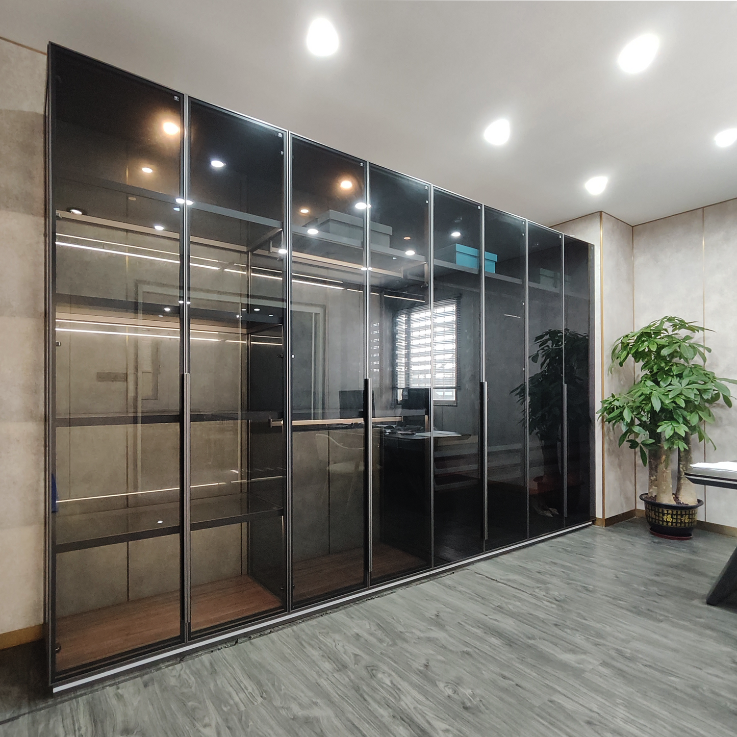 Aluminum Frame Gray Glass Wardrobe